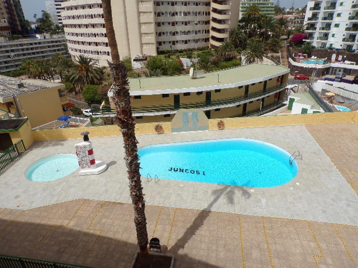 Juncos 403 Appartement